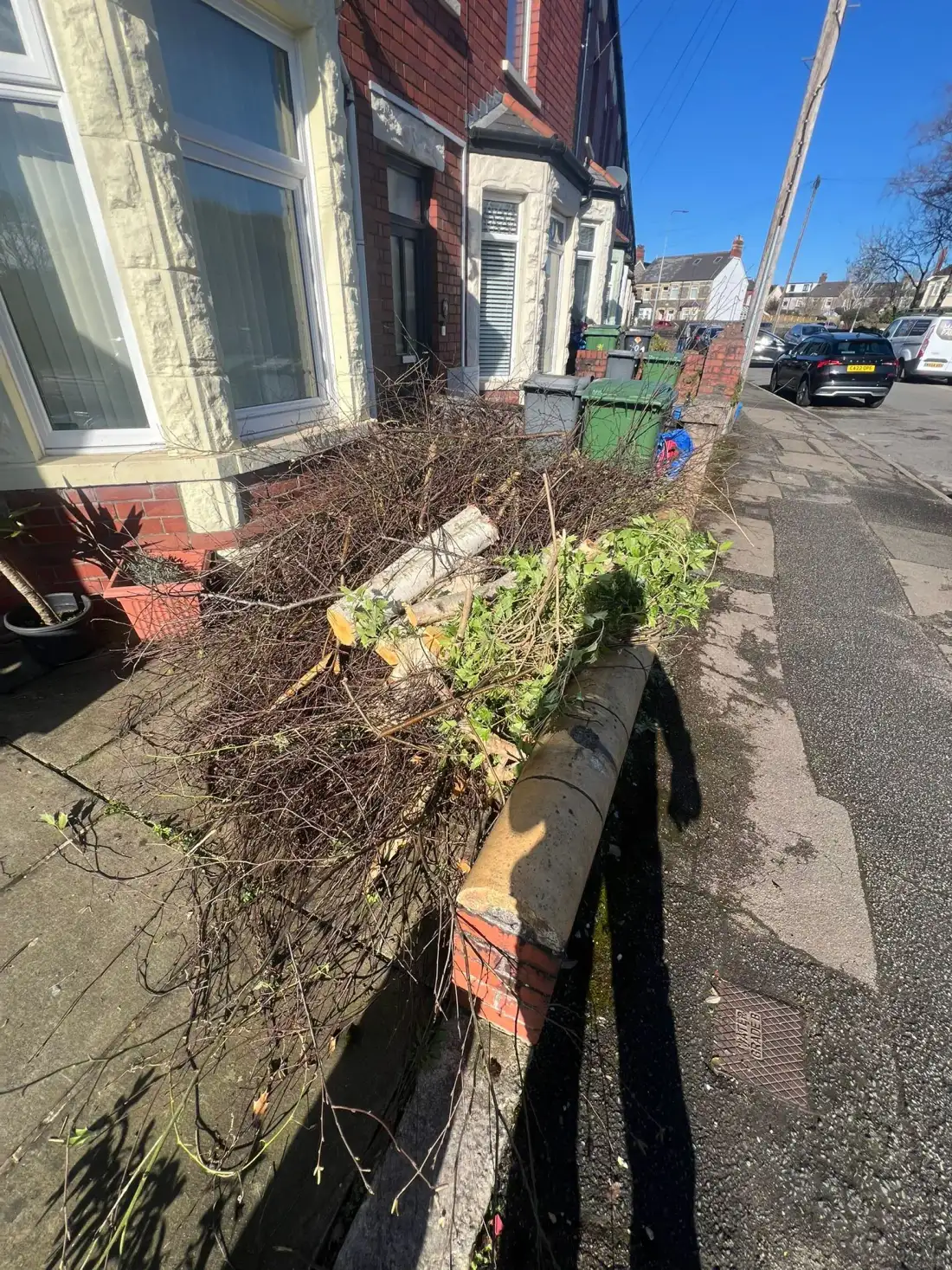 Rubbish and cuttings piled along a front garden boundary