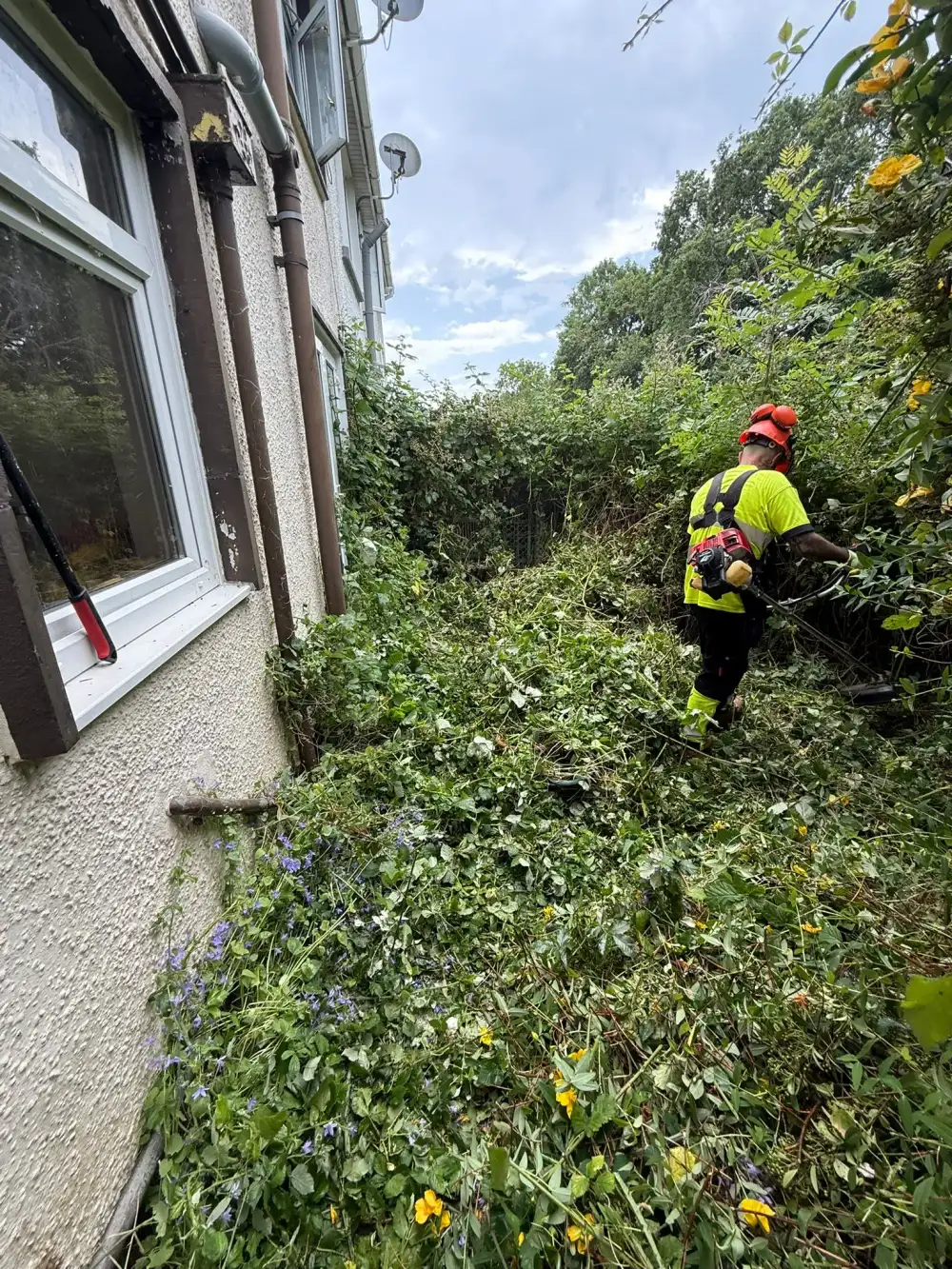 TJB team member cutting back a heavily overgrown garden